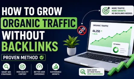 SEO without backlinks strategy to increase organic traffic